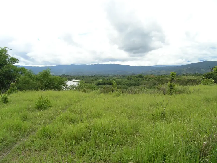 Teke ngamba Bádáꞌ